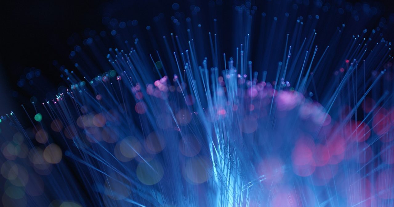 Optical fiber light
